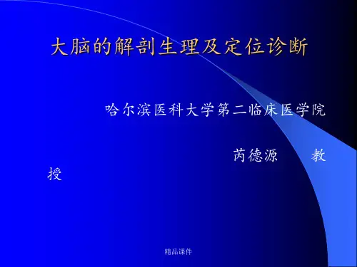 大脑的解剖生理及定位诊断