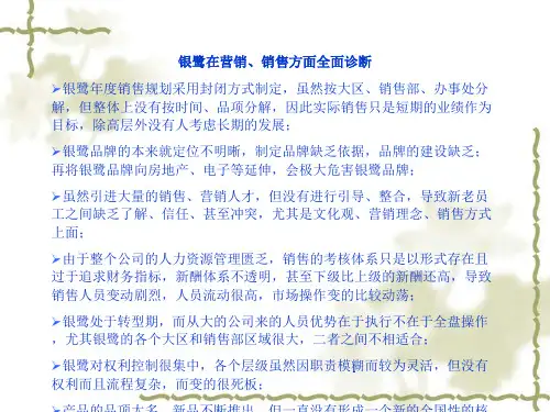 某食品集团营销诊断报告