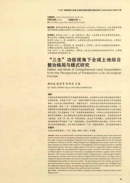 “三生”功能视角下全域土地综合整治格局与模式研究