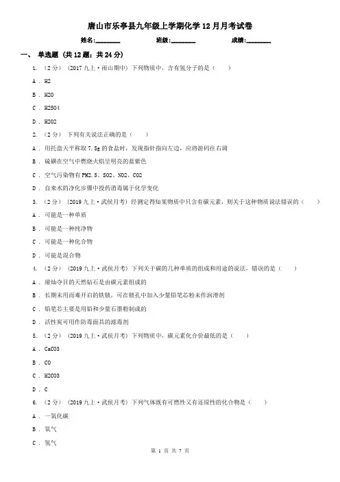 唐山市乐亭县九年级上学期化学12月月考试卷