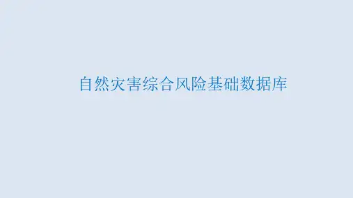 自然灾害综合风险基础数据库方案