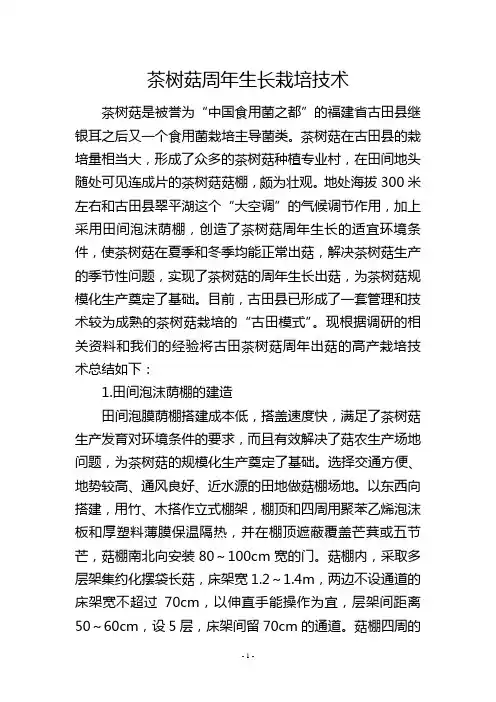茶树菇周年生长栽培技术