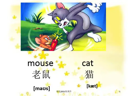 小动物的英语单词(带音标)