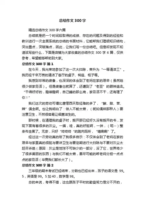 总结作文300字