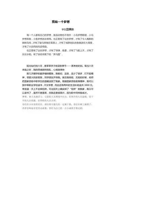 我的高考梦