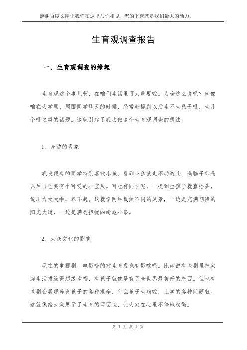 生育观调查报告