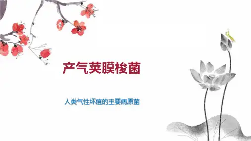 产气荚膜梭菌