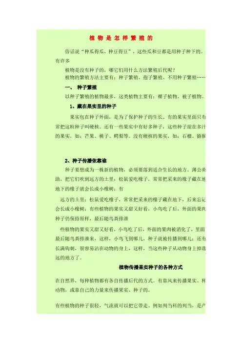 植物是怎样繁殖的