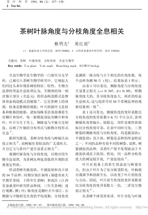茶树叶脉角度与分枝角度全息相关
