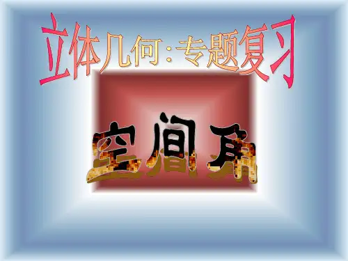 高考复习专题--数学空间角