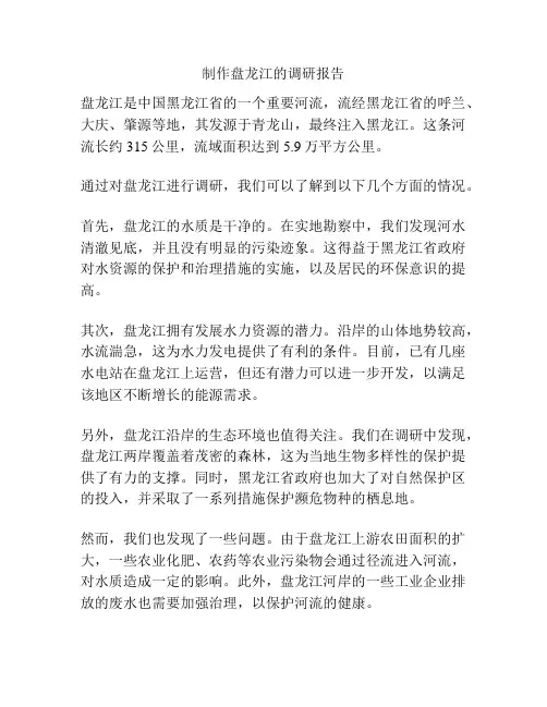 制作盘龙江的调研报告