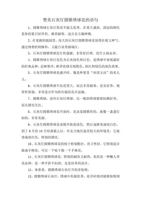 赞美石灰灯圆锥绣球花的语句