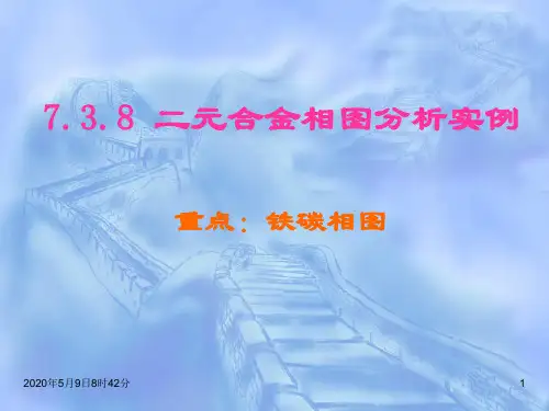 二元合金相图分析实例