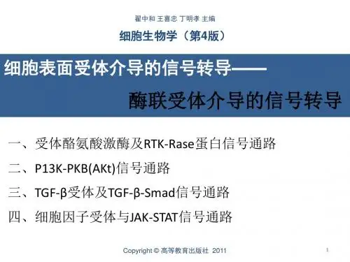 第9章--酶联受体介导的信号传导