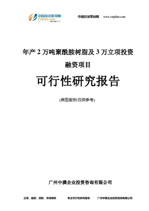 年产2万吨聚酰胺树脂及3万融资投资立项项目可行性研究报告(非常详细)