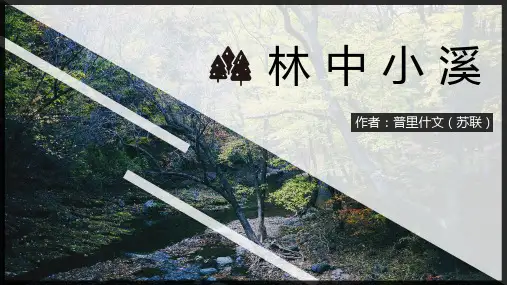 初中语文人教版九年级《林中小溪》教育教学课件