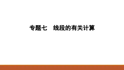 人教版(2024)数学七年级上册 第六章 几何图形初步+专题七 线段的有关计算