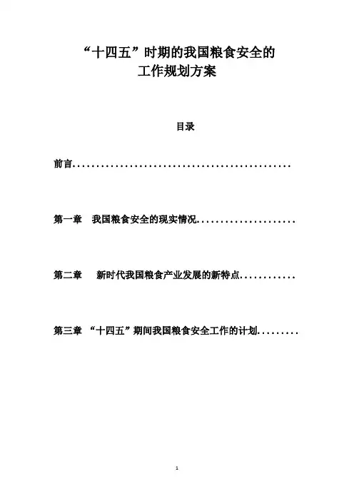 “十四五”时期的我国粮食安全的规划方案