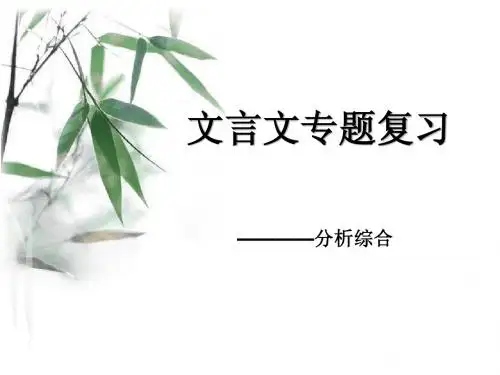 文言文复习-分析综合