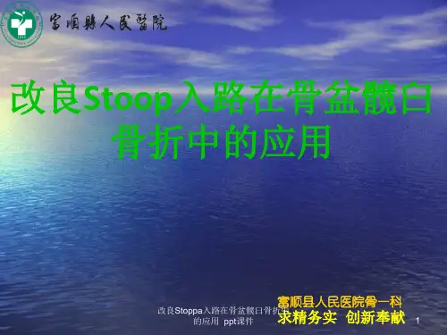 改良Stoppa入路在骨盆髋臼骨折中的应用 ppt课件
