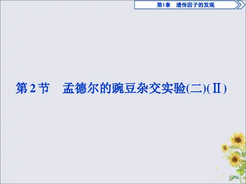 2019_2020学年高中生物第1章遗传因子的发现第2节孟德尔的豌豆杂交实验(二)(Ⅱ)课件新人教版必修2