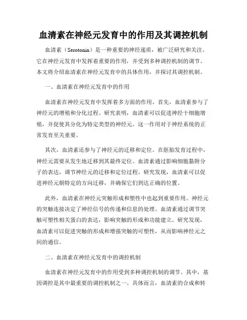 血清素在神经元发育中的作用及其调控机制