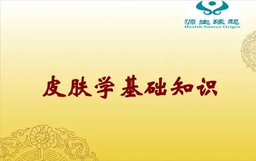 皮肤学基础知识