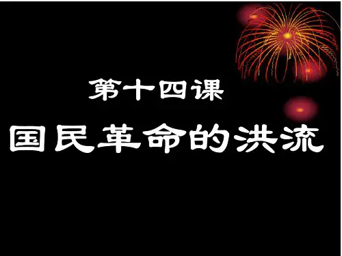 国民革命