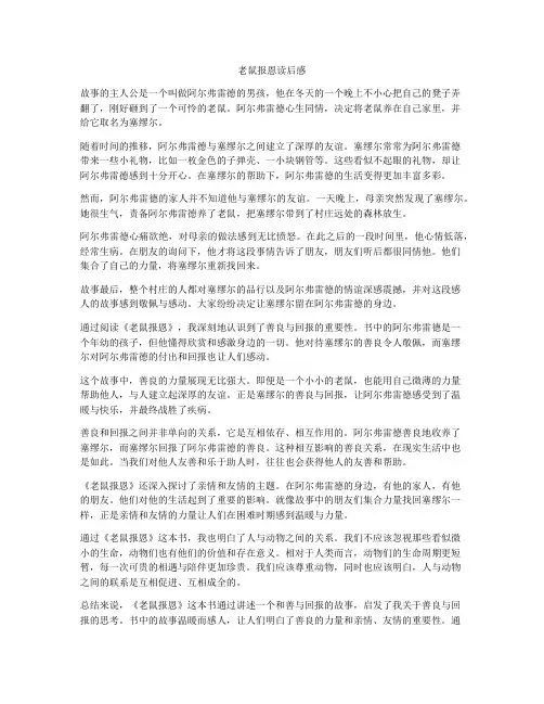 老鼠报恩读后感
