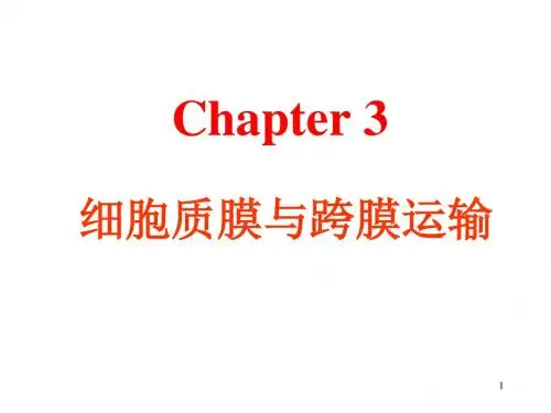细胞生物学--第三章 细胞质膜与跨膜运输