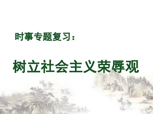 时事专题复习：树立社会主义荣辱观PPT课件解析 人教版