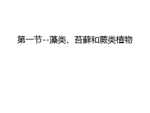 第一节--藻类、苔藓和蕨类植物备课讲稿