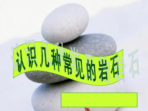 四年级下册科学认识几种常见的岩石教科版