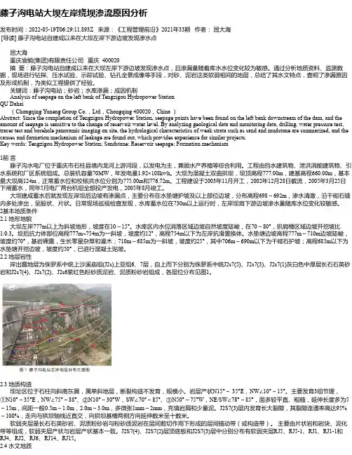 藤子沟电站大坝左岸绕坝渗流原因分析