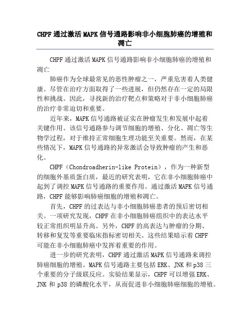 CHPF通过激活MAPK信号通路影响非小细胞肺癌的增殖和凋亡