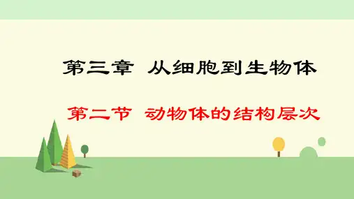 人教版生物 七年级上册    动物体的结构层次