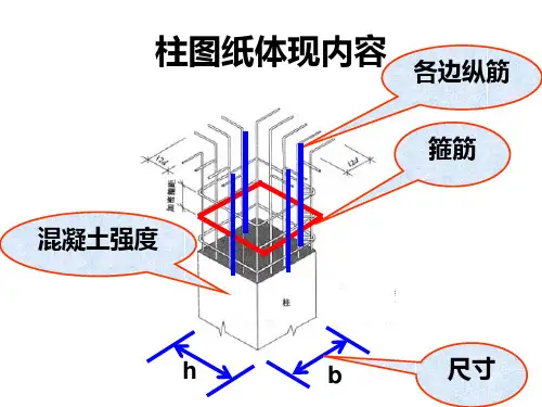 柱配筋图专题知识