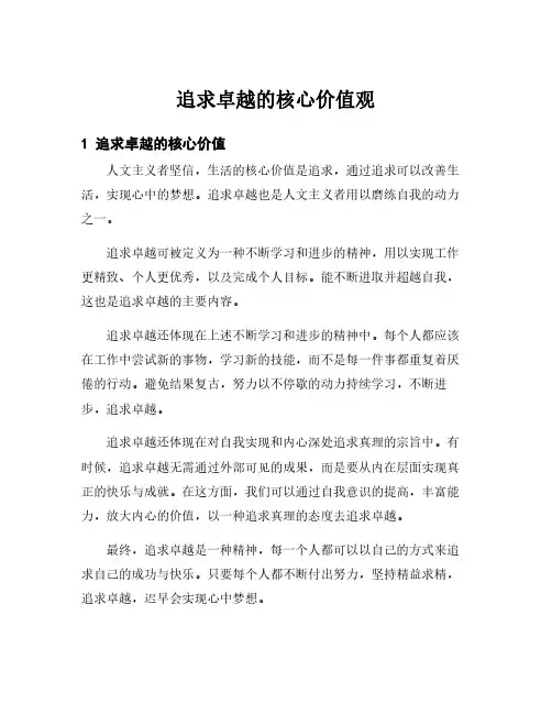 追求卓越的核心价值观