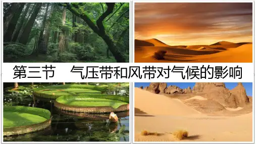 课件1：3.3气压带和风带对气候的影响
