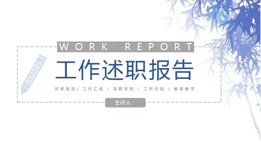 个人工作述职报告项目成果汇报PPT模板
