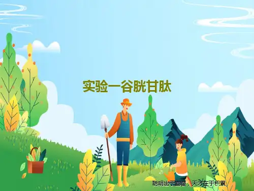 实验一谷胱甘肽15页PPT