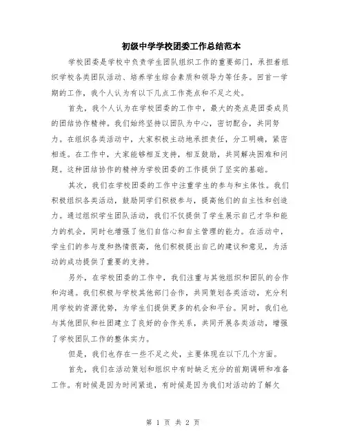 初级中学学校团委工作总结范本
