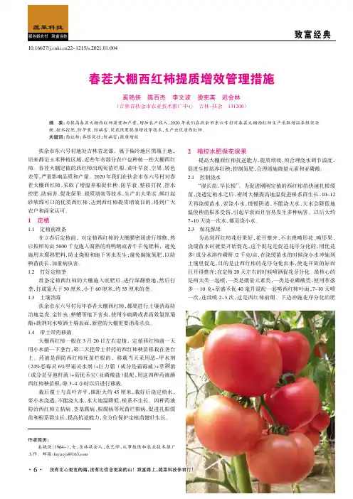 春茬大棚西红柿提质增效管理措施