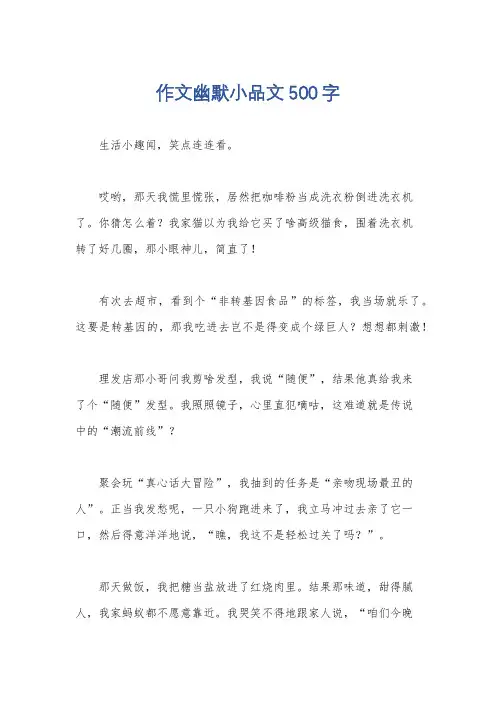 作文幽默小品文500字