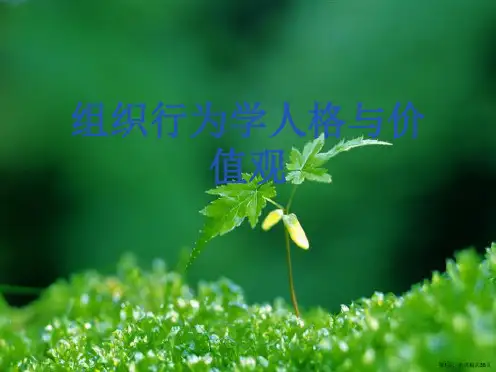 组织行为学人格与价值观