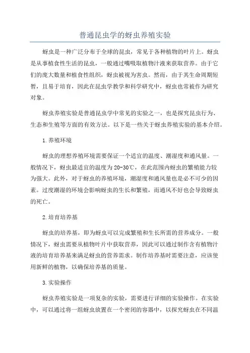 普通昆虫学的蚜虫养殖实验