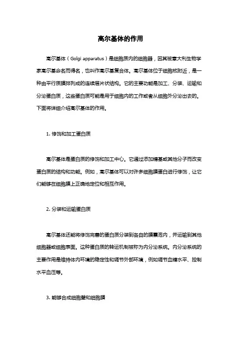 高尔基体的作用
