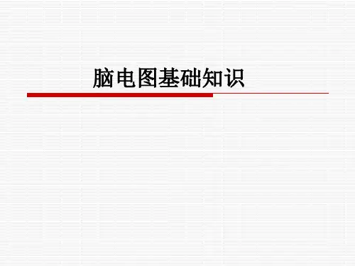 脑电图基础知识