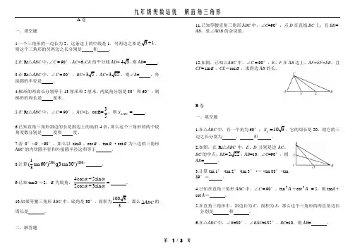 九年级奥数培优  解直角三角形