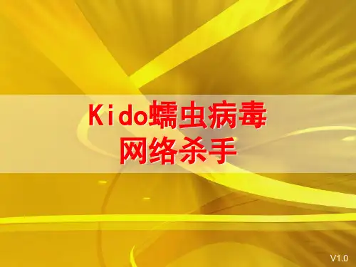 Kido病毒介绍(新)